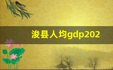 浚县人均gdp2022