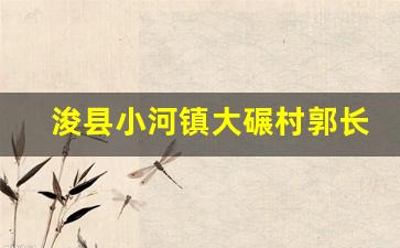 浚县小河镇大碾村郭长瑞_浚县小河镇有几个村庄