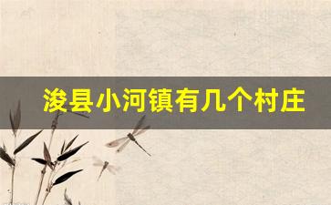 浚县小河镇有几个村庄_浚县小河镇饭店村申全军