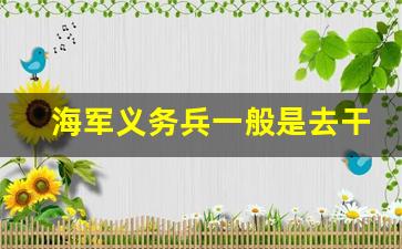 海军义务兵一般是去干嘛_跟海军结婚要查女方什么