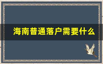 海南普通落户需要什么材料_海南省户口迁入政策