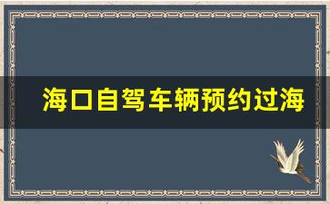 海口自驾车辆预约过海_自驾去海南轮渡需要预约吗