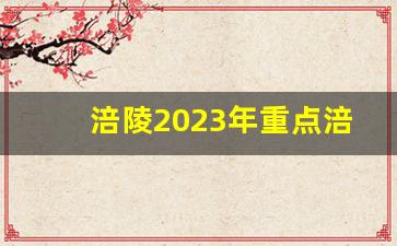 涪陵2023年重点涪陵快速路