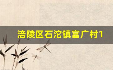 涪陵区石沱镇富广村12_涪陵石沱镇最新消息