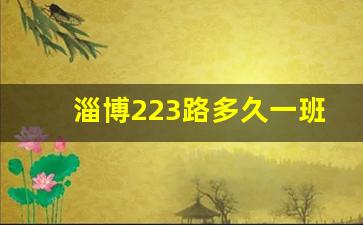 淄博223路多久一班