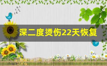 深二度烫伤22天恢复程度