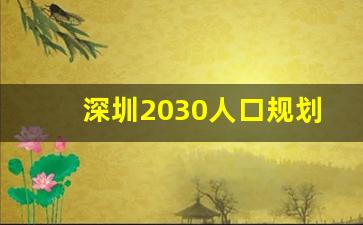 深圳2030人口规划_深圳2020年发展规划