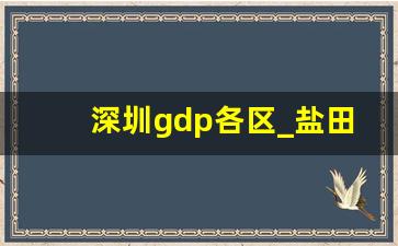 深圳gdp各区_盐田区人均GDP