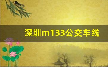 深圳m133公交车线路图