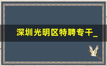 深圳光明区特聘专干_深圳光明区专干太坑了知乎