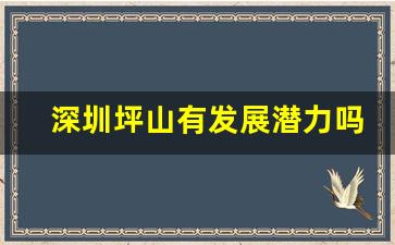 深圳坪山有发展潜力吗_深圳坪山发展最新规划图