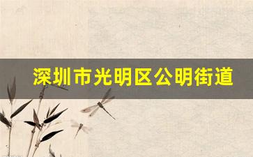 深圳市光明区公明街道办事处招聘公告浏览次数_公明街道办事处领导班子