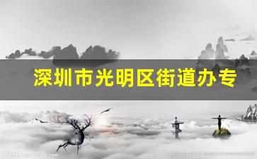 深圳市光明区街道办专干待遇_深圳市光明区公明街道办事处招聘公告浏览次数