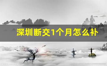 深圳断交1个月怎么补缴_离职空档期社保一个月怎么办