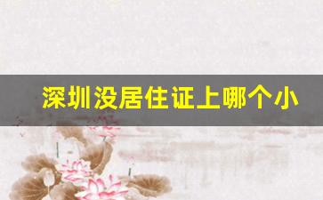 深圳没居住证上哪个小学_深圳小学报名需要父母双方居住证吗