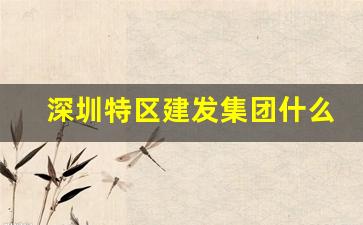 深圳特区建发集团什么级别_深圳特区报的宣传报道