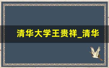 清华大学王贵祥_清华大学王桂增