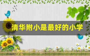 清华附小是最好的小学吗_47清华校部是总校老师吗