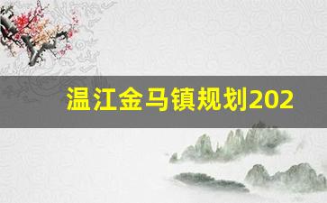 温江金马镇规划2025