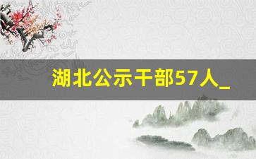 湖北公示干部57人_武汉市干部人事任免