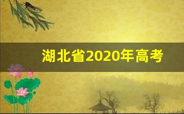 湖北省2020年高考复读的政策_2020山东高考复读政策