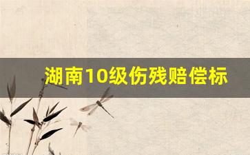 湖南10级伤残赔偿标准2023最新_湖南九级伤残赔偿标准2018