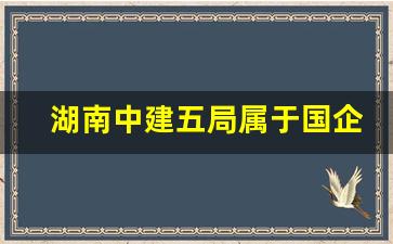 湖南中建五局属于国企吗_中建五局是央企吗