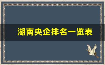 湖南央企排名一览表