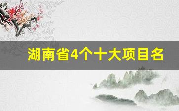 湖南省4个十大项目名单