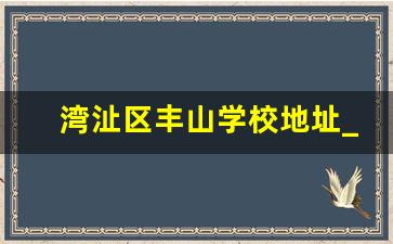 湾沚区丰山学校地址_中山市丰山小学