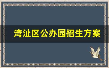 湾沚区公办园招生方案_公立幼儿园招生方案