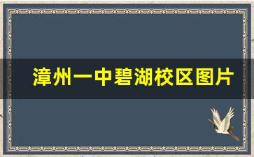 漳州一中碧湖校区图片