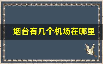 烟台有几个机场在哪里_烟台有国际机场吗