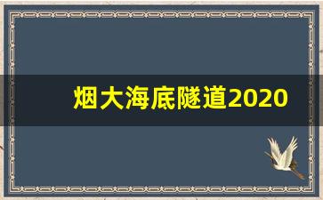 烟大海底隧道2020年进展情况_烟大海底隧道开工时间