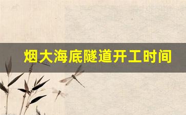 烟大海底隧道开工时间_烟大海底隧道烟台那边动工了