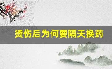 烫伤后为何要隔天换药_烫伤后怎样在家换药视频