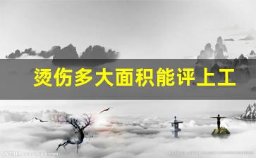 烫伤多大面积能评上工伤_烫伤多少面积够伤残标准