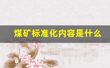 煤矿标准化内容是什么_煤矿井下标准化包括什么内容