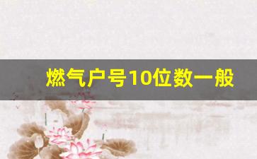 燃气户号10位数一般前面是多少