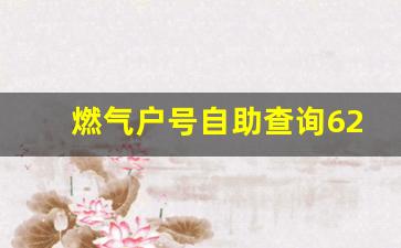 燃气户号自助查询620084260_燃气户号10位数一般前面是多少