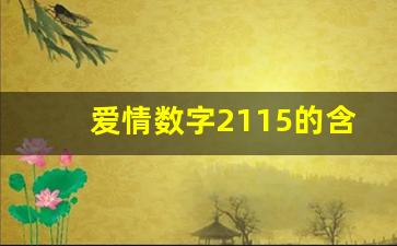 爱情数字2115的含义是什么_爱情数字9675是什么意思