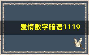 爱情数字暗语1119的意思