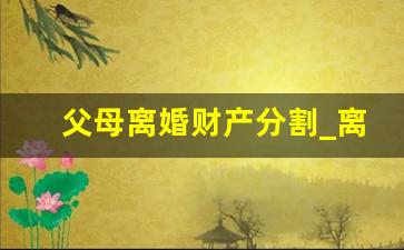 父母离婚财产分割_离婚财产分配最新政策