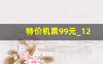 特价机票99元_12580特价机票网