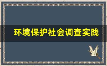 环境保护社会调查实践报告_环境保护社会调查