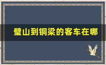 璧山到铜梁的客车在哪儿下车