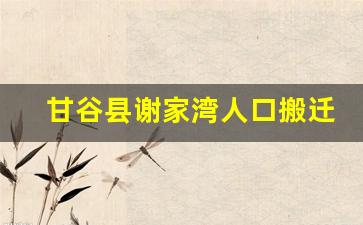 甘谷县谢家湾人口搬迁_甘谷县最新规划