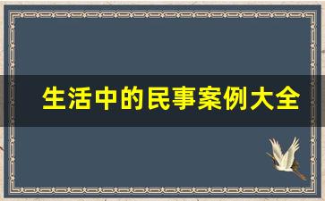 生活中的民事案例大全