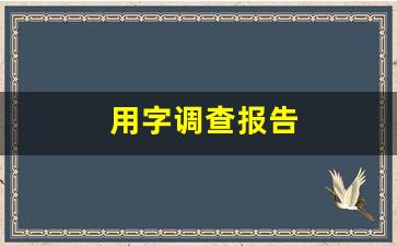 用字调查报告