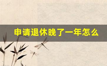 申请退休晚了一年怎么办_档案年龄大晚退1年怎么办